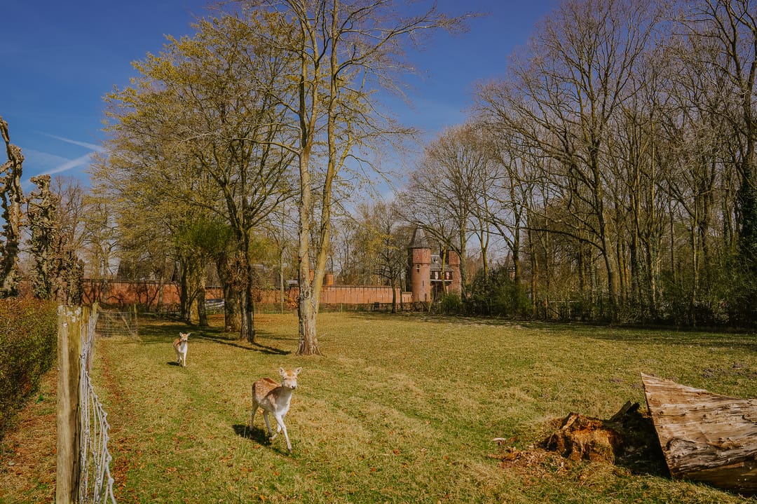 Photo 61 of Bochtdijk 2