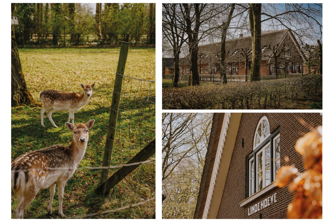 Photo 62 of Bochtdijk 2