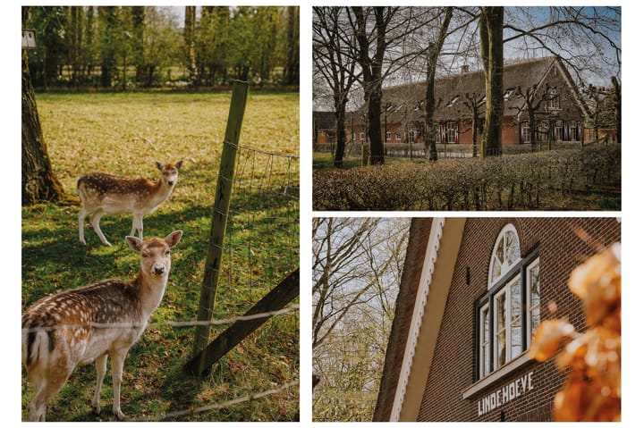 Foto 62 van Bochtdijk 2