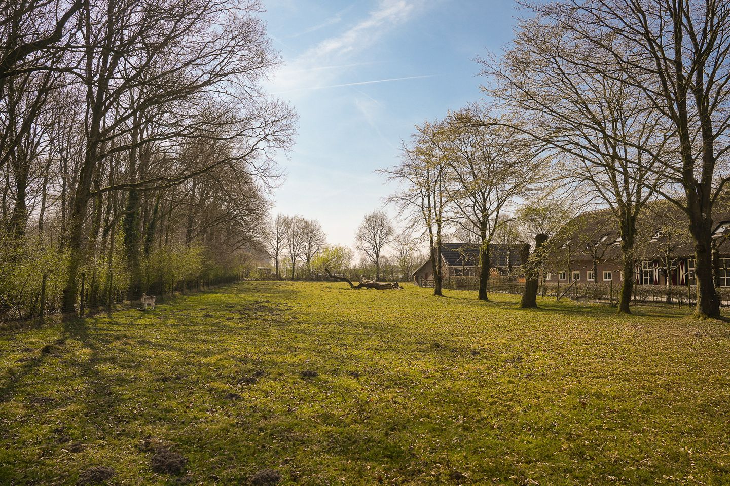 Photo 64 of Bochtdijk 2