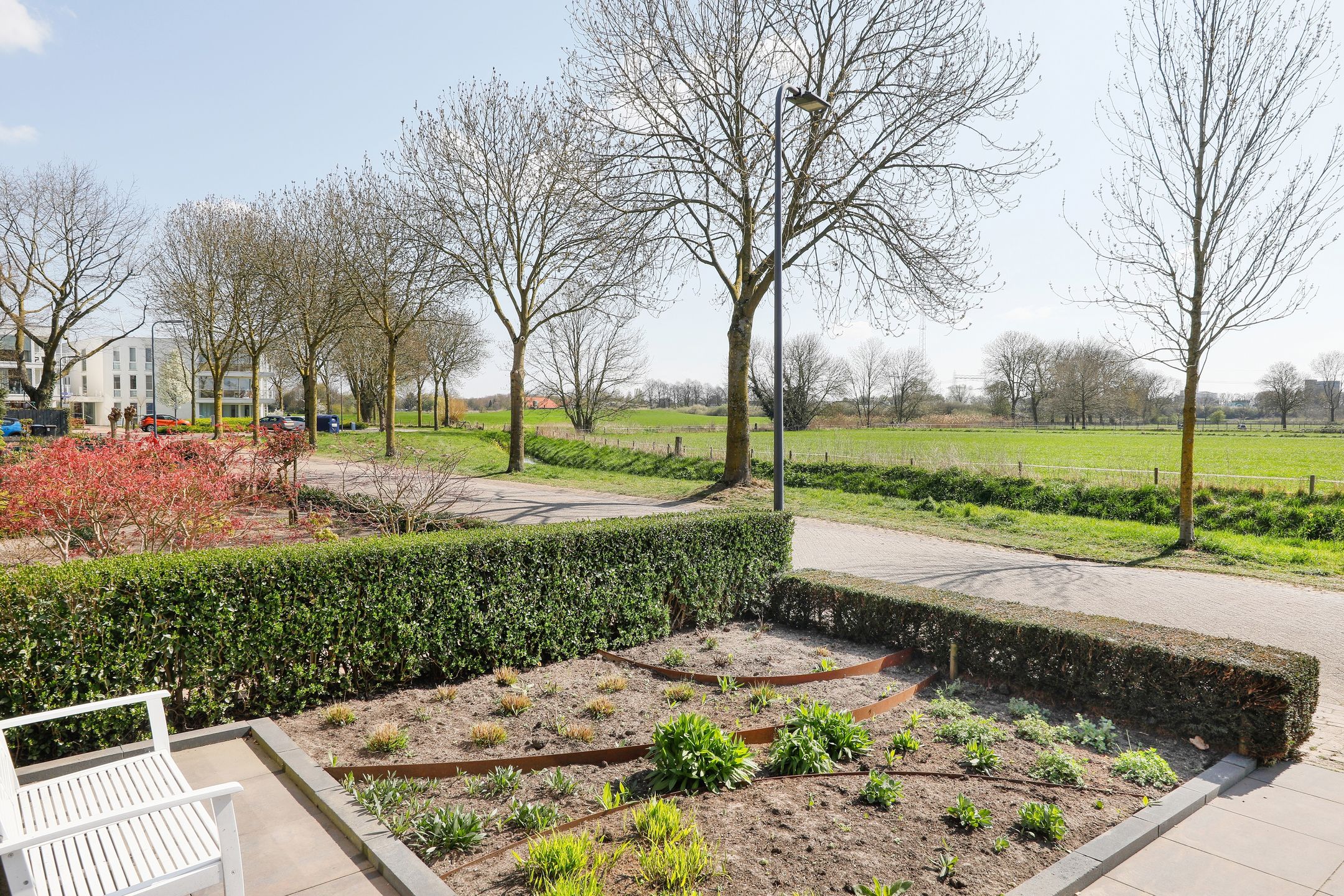 Photo 3 of Engeler Schans 8