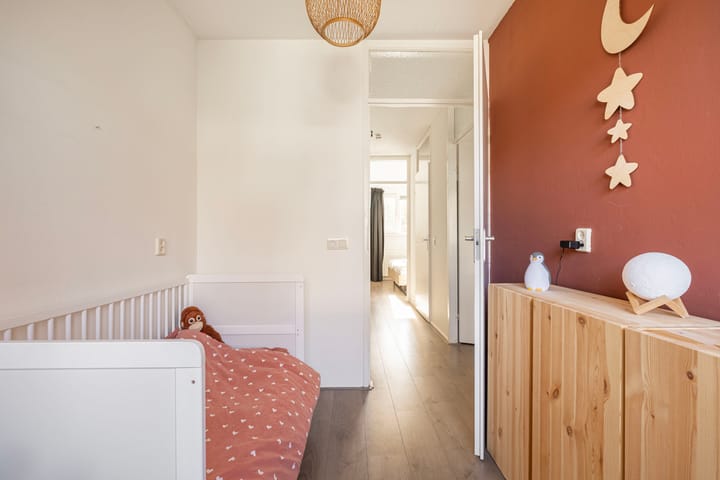 Foto 30 van Ruisdaelstraat 12