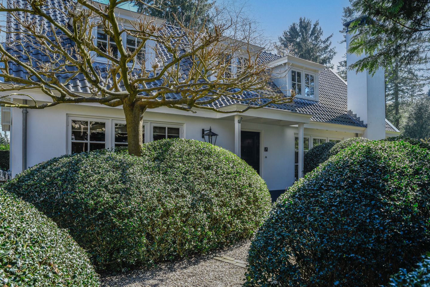 Photo 4 of Prinses Irenelaan 1