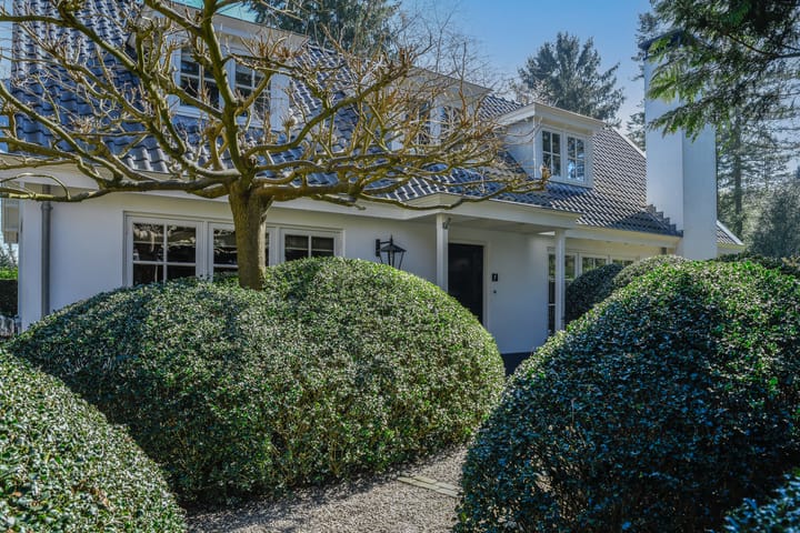 Foto 4 van Prinses Irenelaan 1