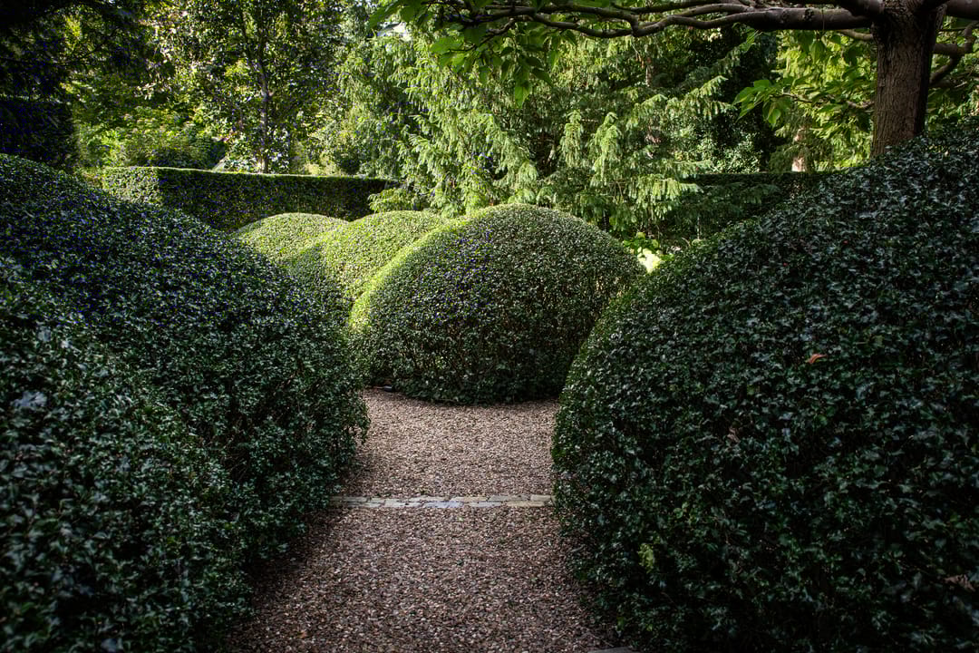 Photo 58 of Prinses Irenelaan 1