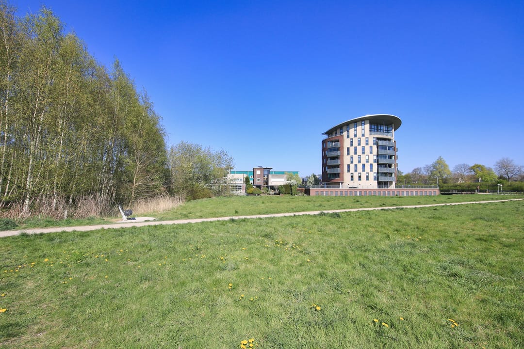 Foto 46 van Bramerveld 8