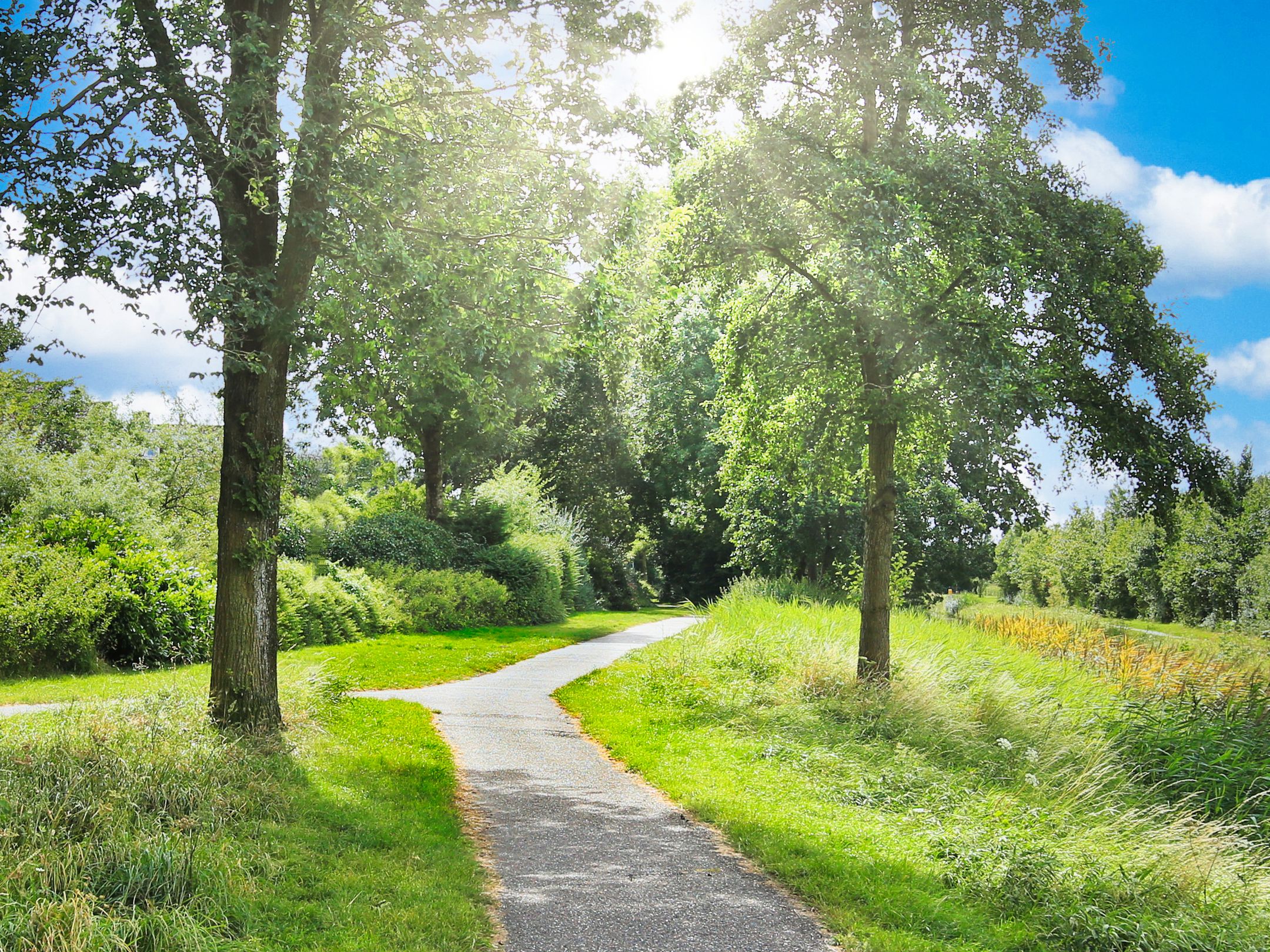 Foto 51 van Bramerveld 8