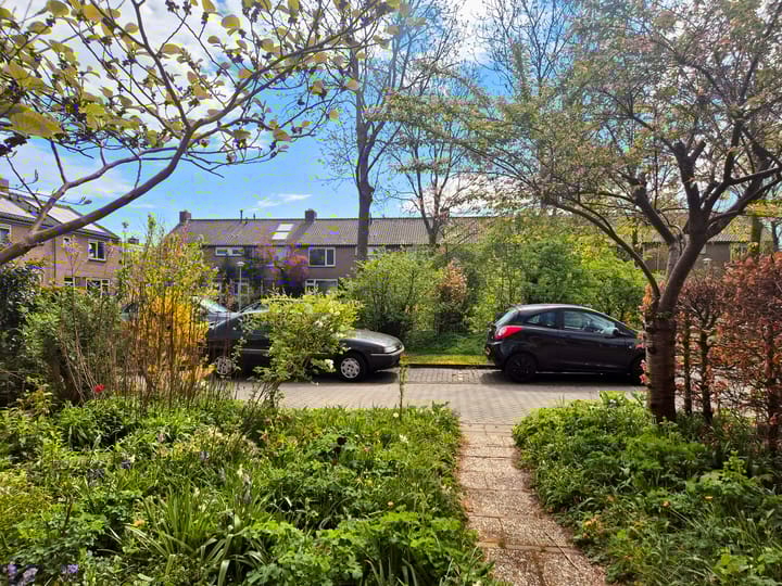 Foto 2 van Hulstplantsoen 66