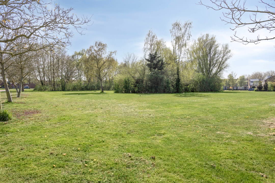 Foto 31 van Stavorenplantsoen 21