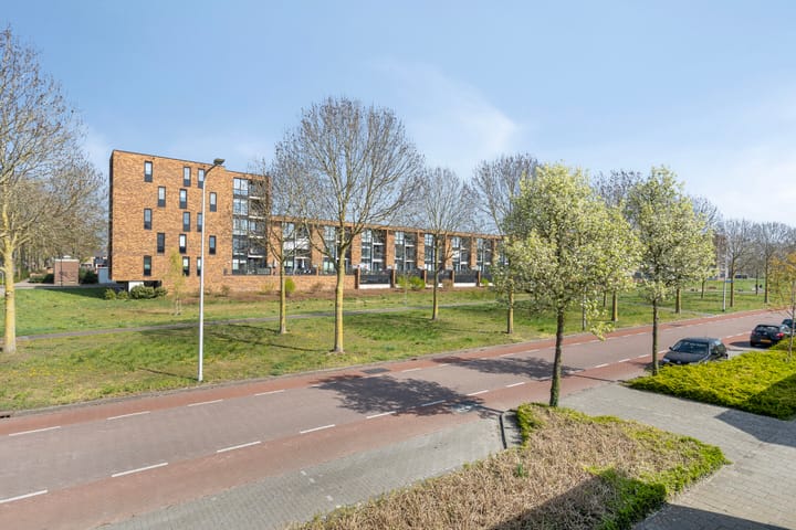 Foto 15 van Gerard Doustraat 30