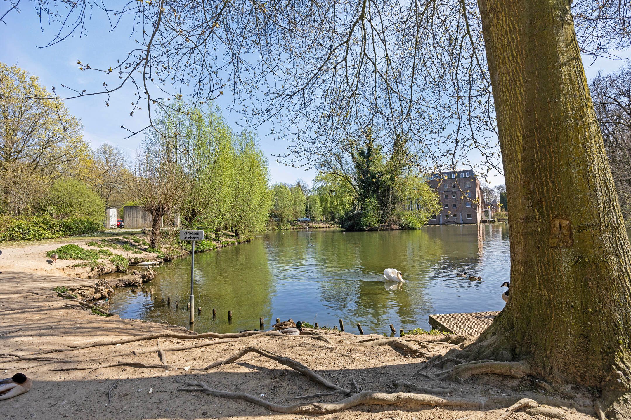 Foto 42 van Bakenbosweg 17