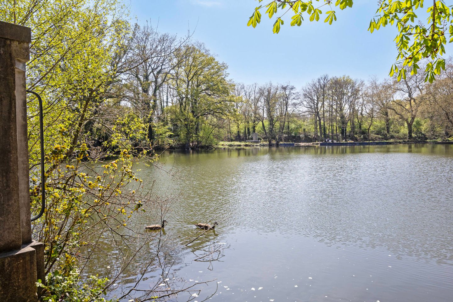 Foto 44 van Bakenbosweg 17