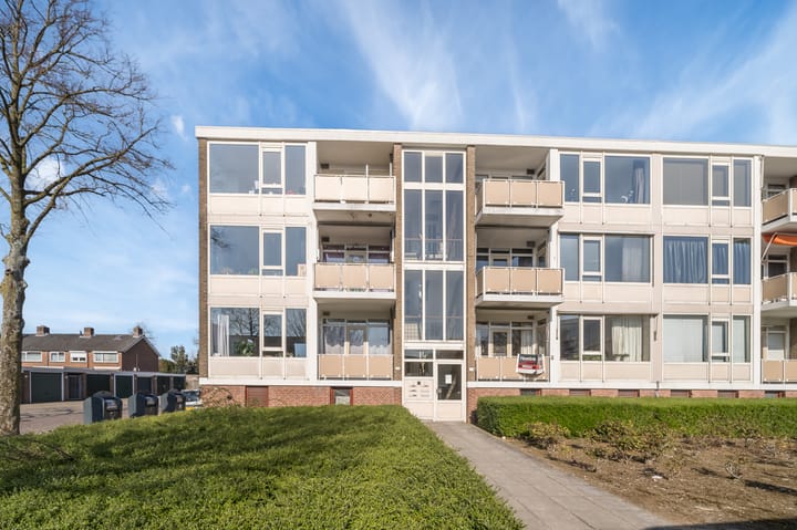 Foto 5 van Singravenlaan 31-3