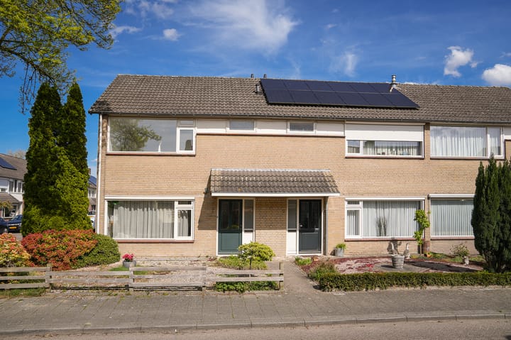undefined main image