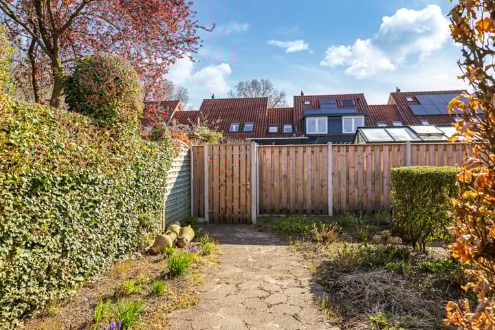 Foto 54 van Wijnwaarden 5