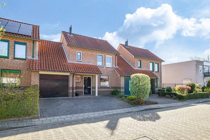 Foto 56 van Wijnwaarden 5