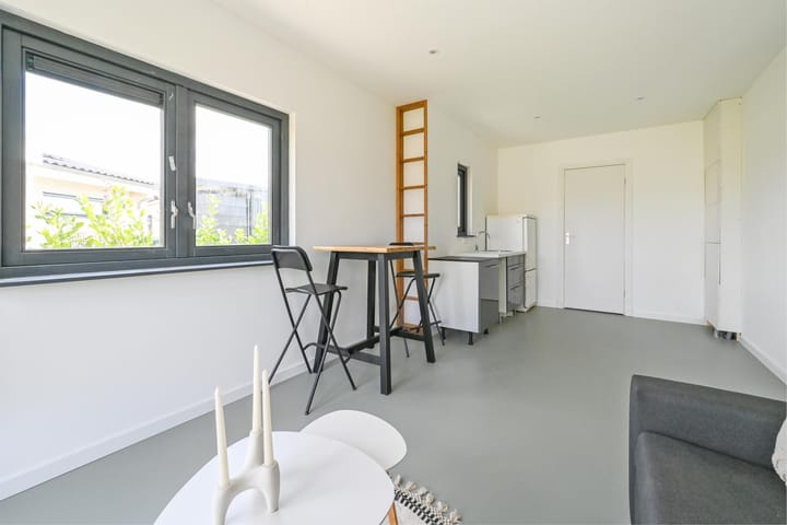 Photo 45 of Henry David Thoreaustraat 48