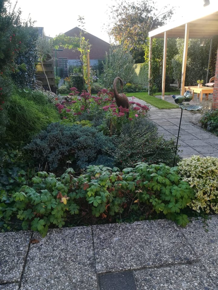 Foto 47 van Weerdingerstraat 115