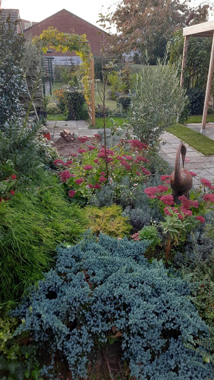 Foto 48 van Weerdingerstraat 115