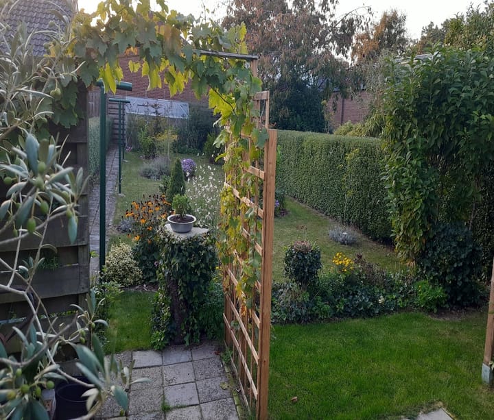 Foto 53 van Weerdingerstraat 115