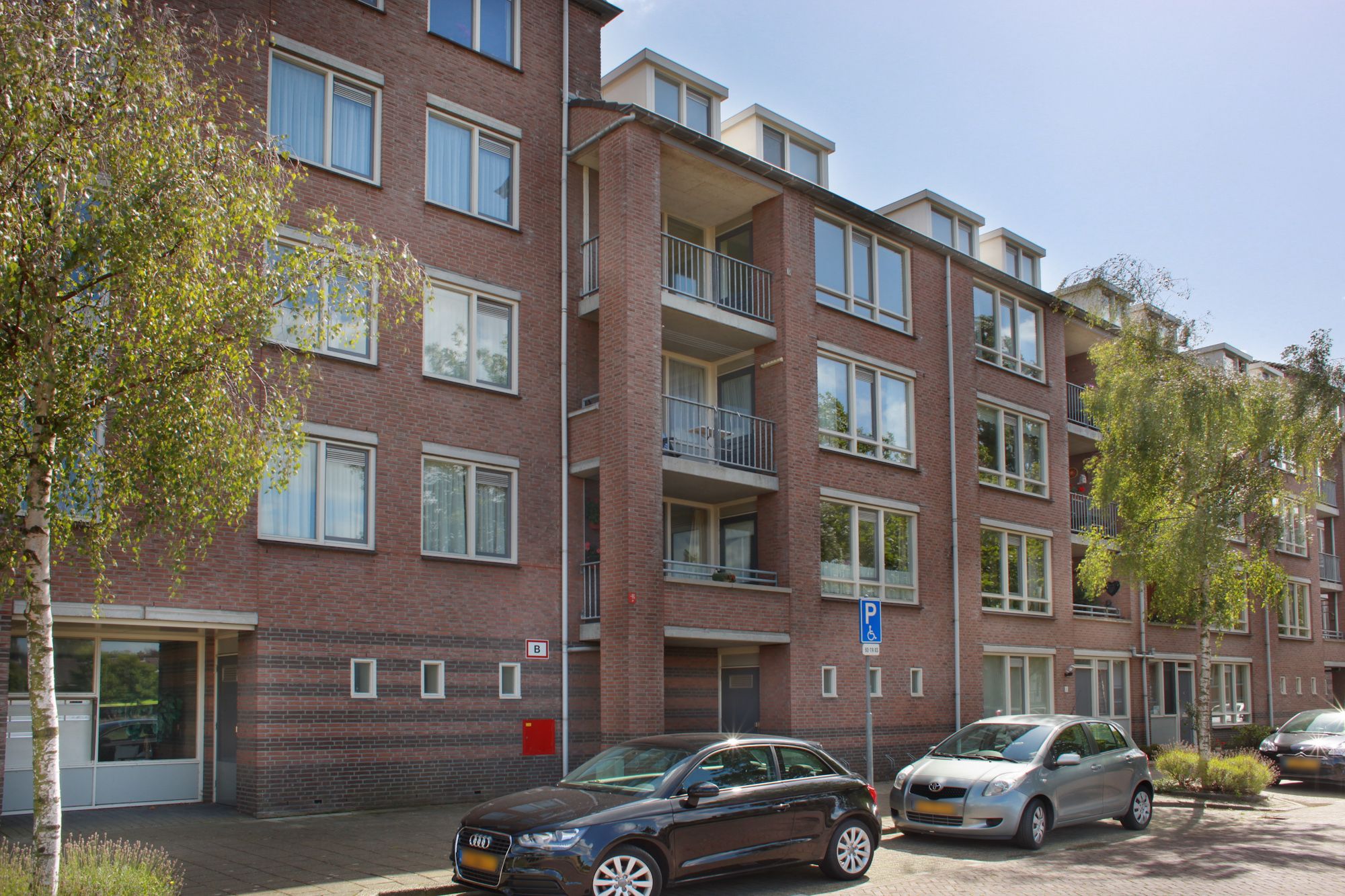 Photo 6 of Zamenhof 12