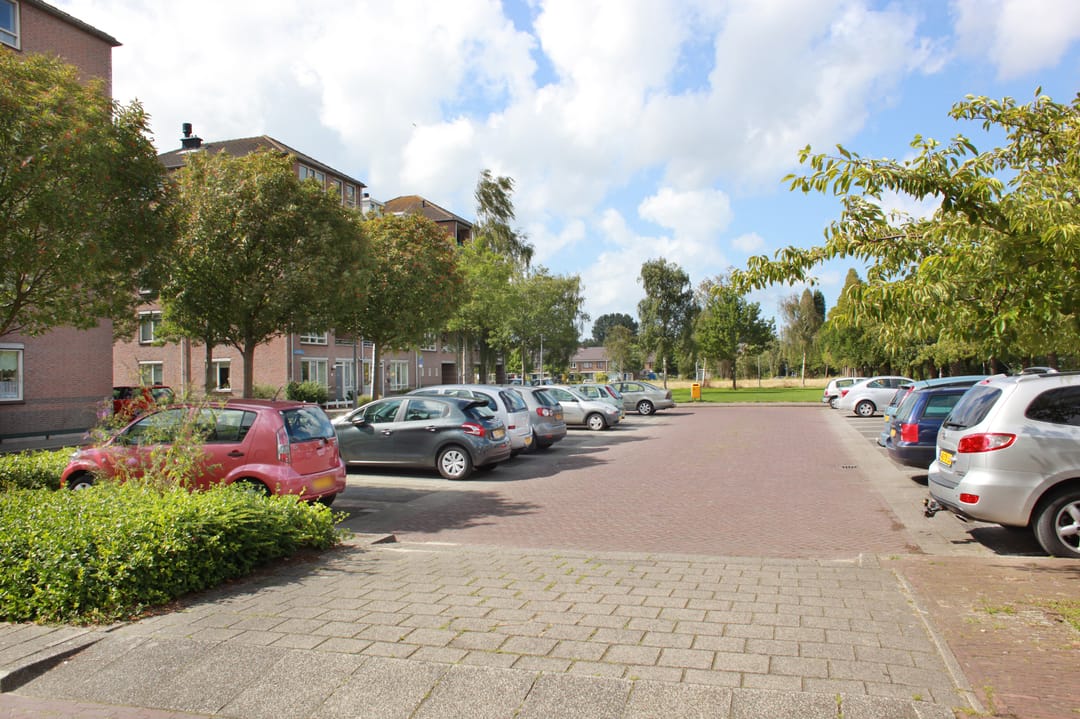 Photo 8 of Zamenhof 12