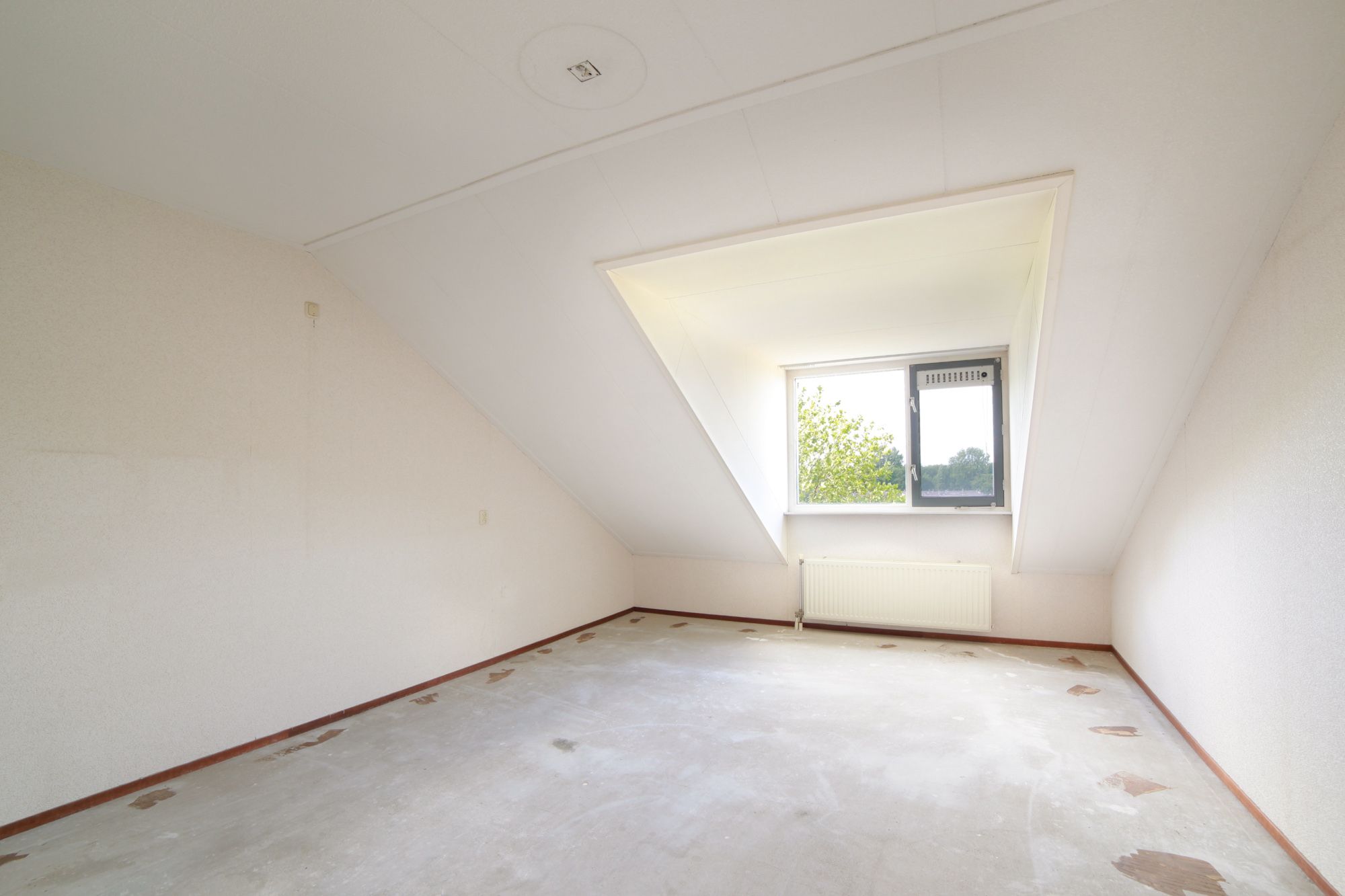 Photo 21 of Zamenhof 12