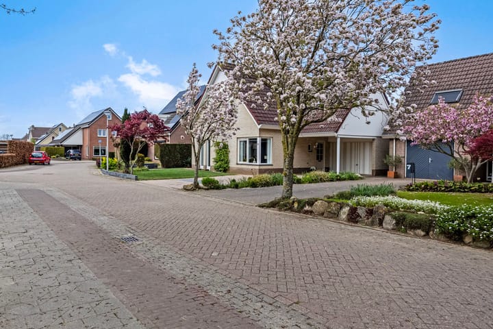 Foto 5 van de Heerd 5