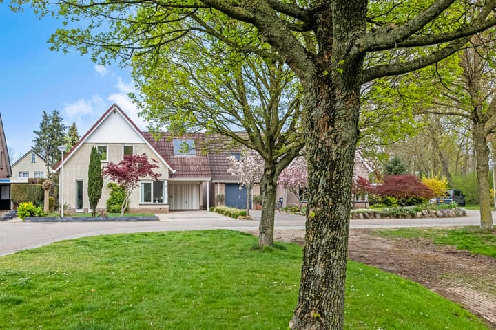 Foto 6 van de Heerd 5