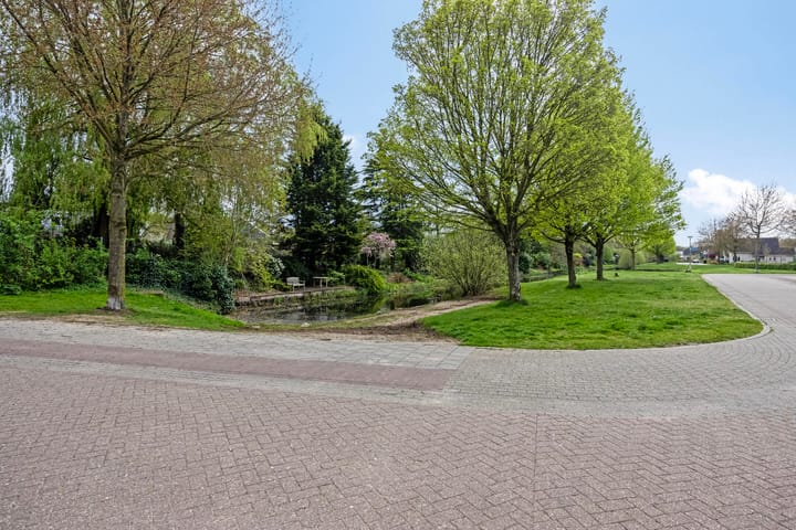 Foto 7 van de Heerd 5