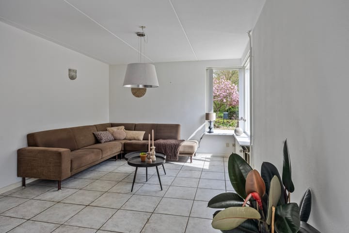 Foto 14 van de Heerd 5