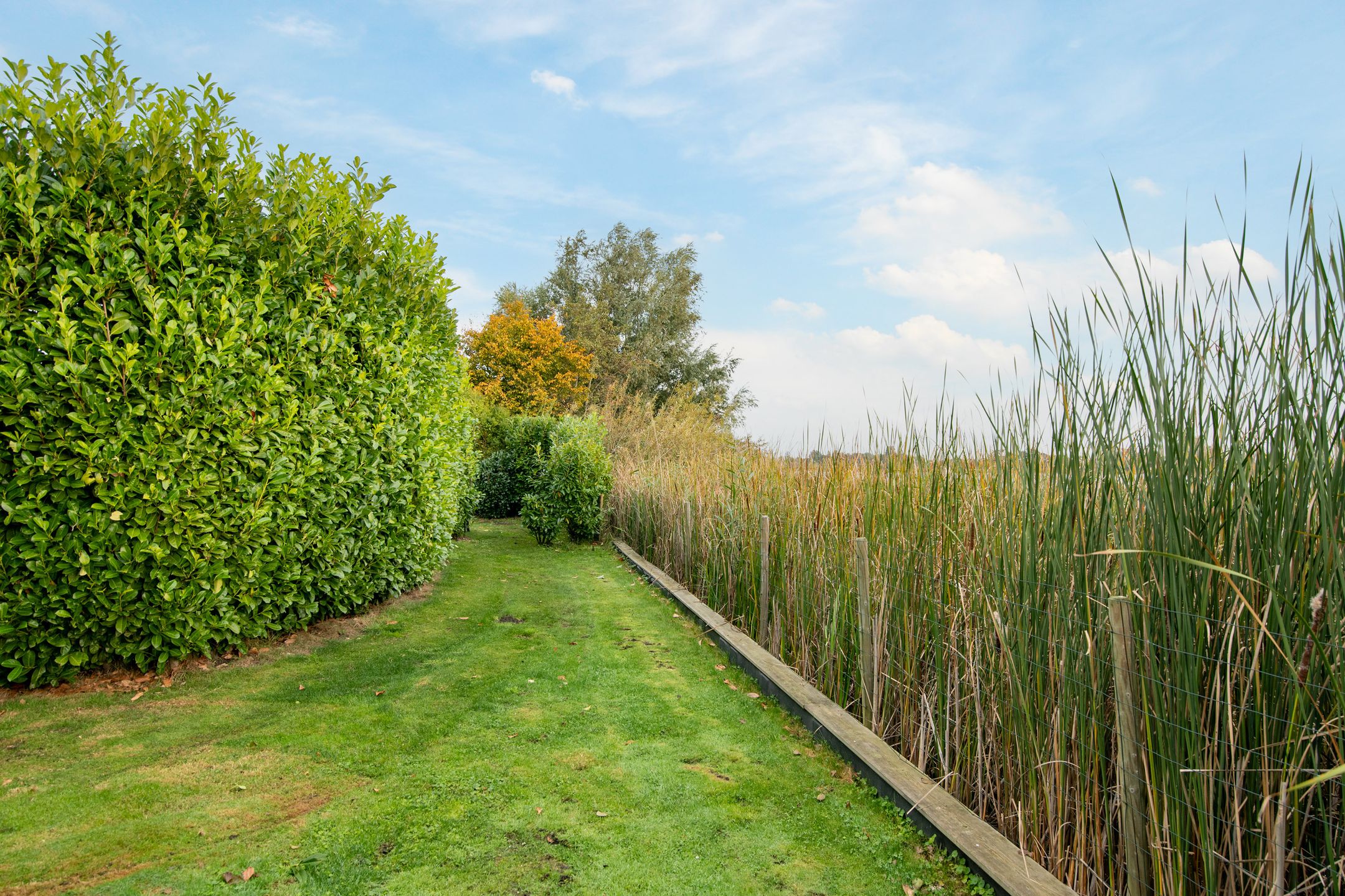 Foto 9 van Landtong tussen Klein Elfhoeven en Vrijhoef