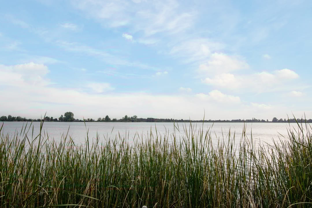 Foto 11 van Landtong tussen Klein Elfhoeven en Vrijhoef