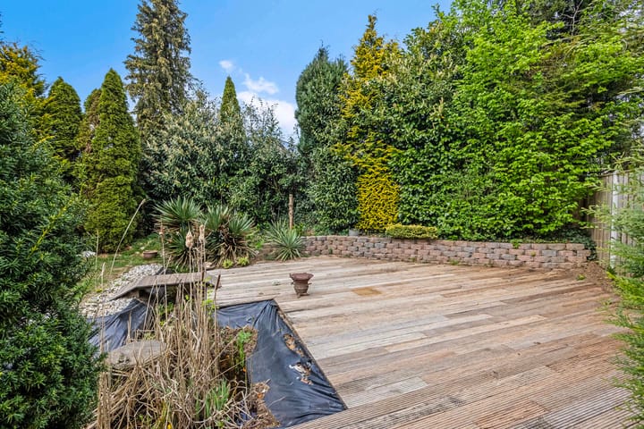 Foto 44 van de Heerd 5