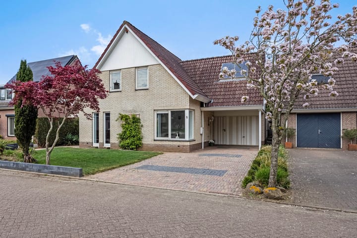 Foto 49 van de Heerd 5