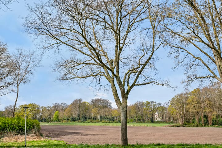 Foto 36 van Berkenlaan 20