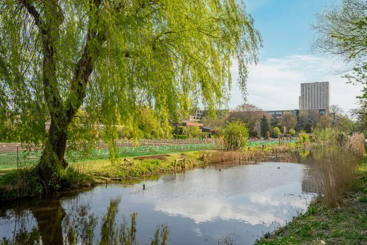 Foto 31 van Marius Bauerstraat 235-A4