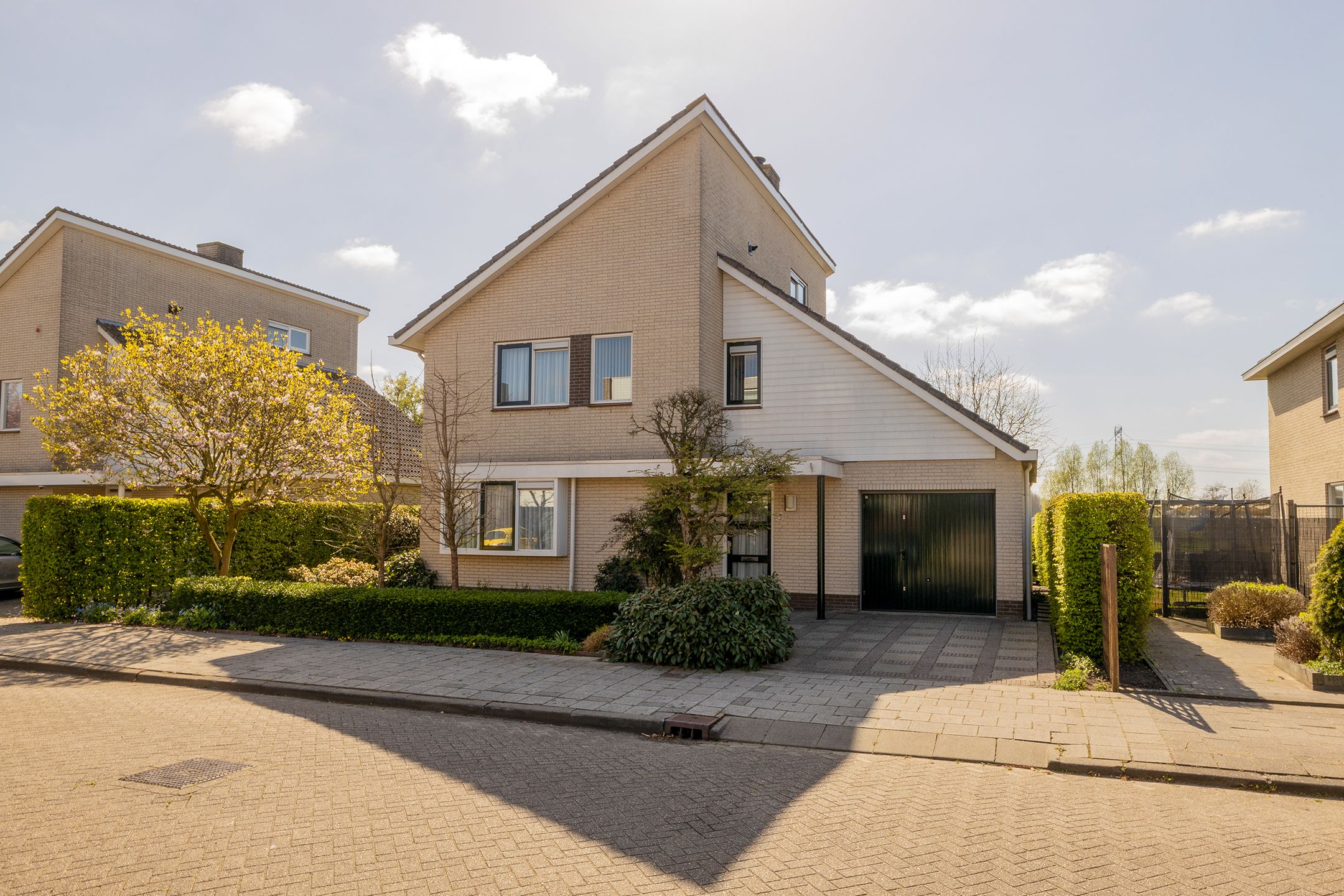 Foto 6 van Spaansezoom 31