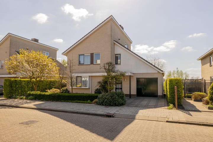 Foto 6 van Spaansezoom 31