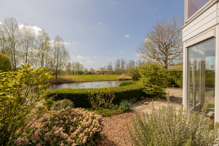 Foto 44 van Spaansezoom 31