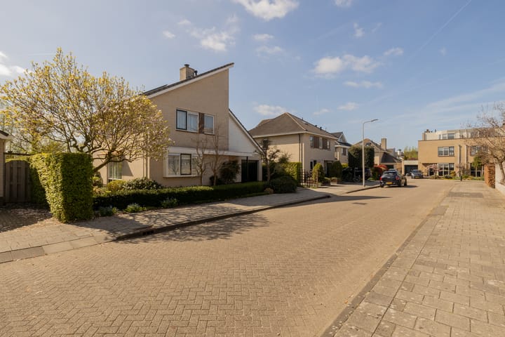 Foto 59 van Spaansezoom 31