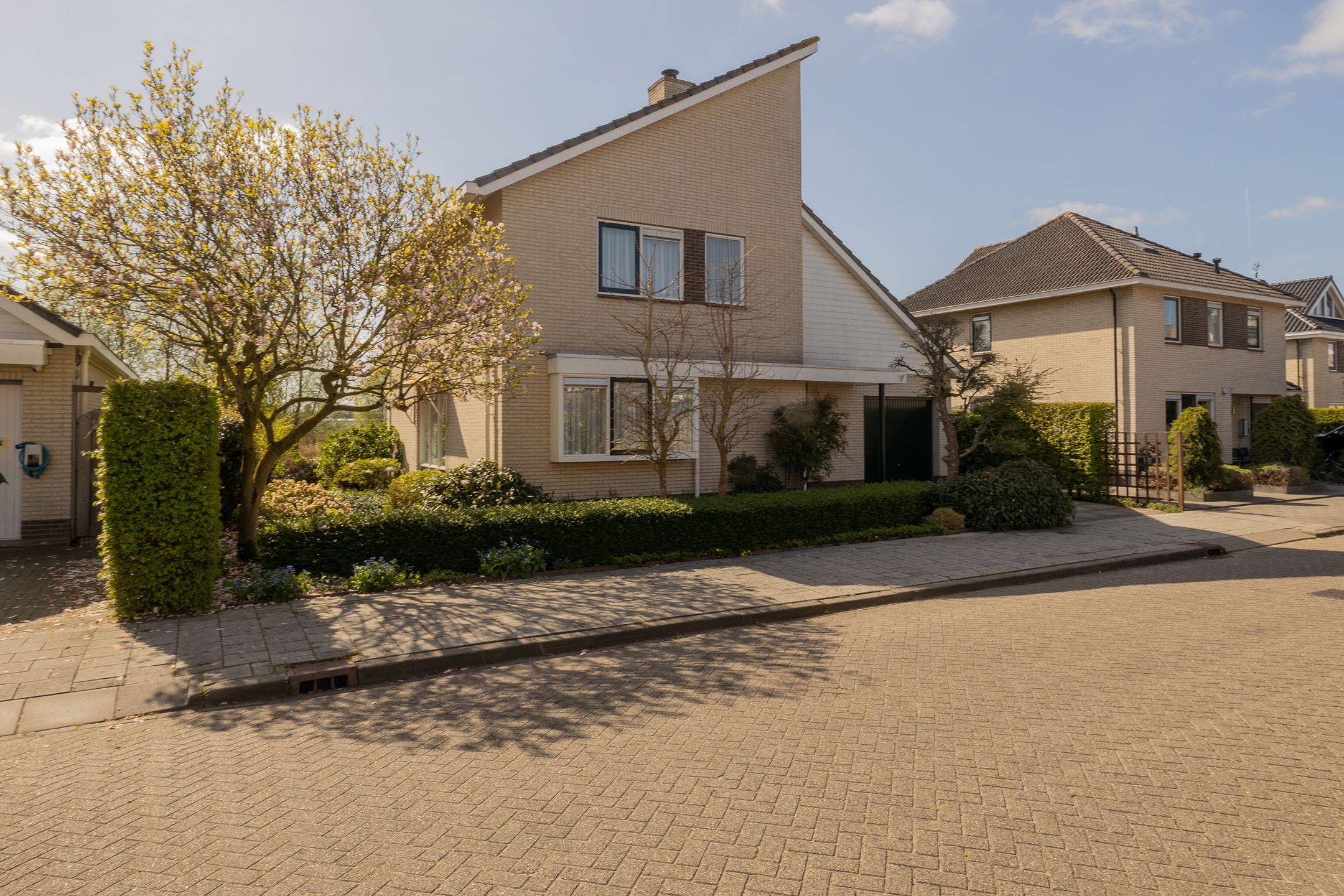 Foto 60 van Spaansezoom 31