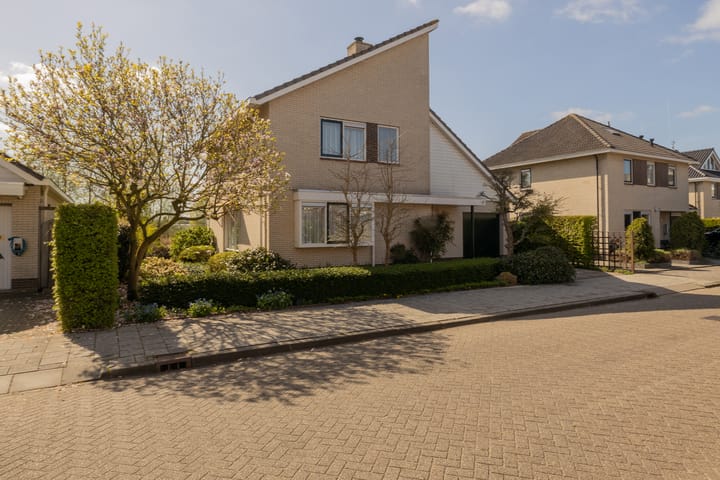 Foto 60 van Spaansezoom 31