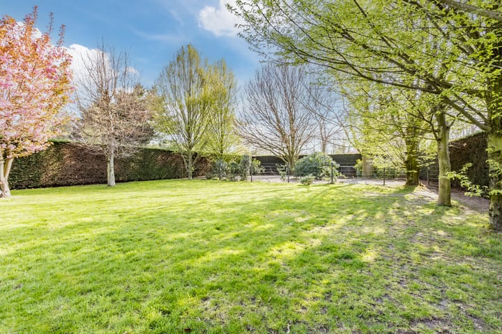 Foto 4 van Zuilenstraat 82