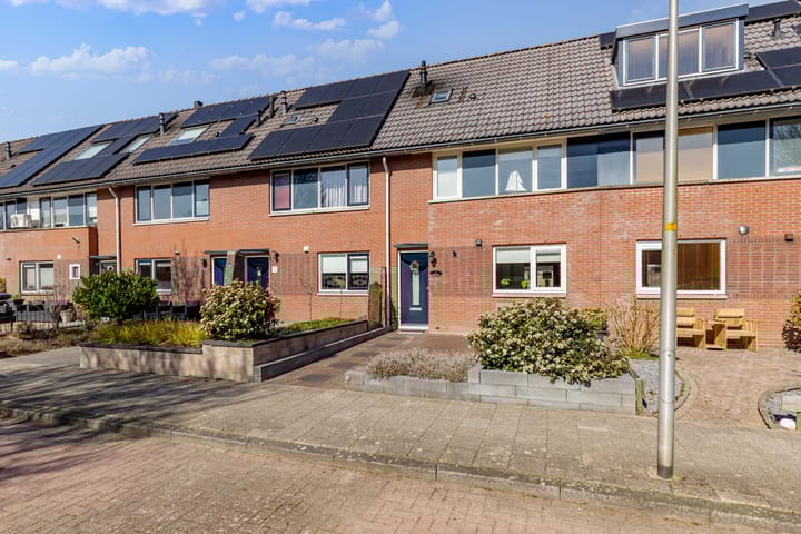 Foto 2 van Grote Beer 40