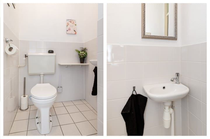 Foto 5 van Grote Beer 40