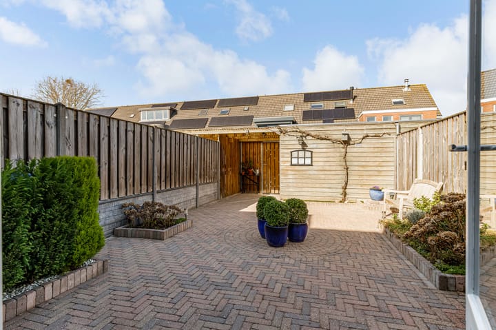 Photo 31 of Grote Beer 40