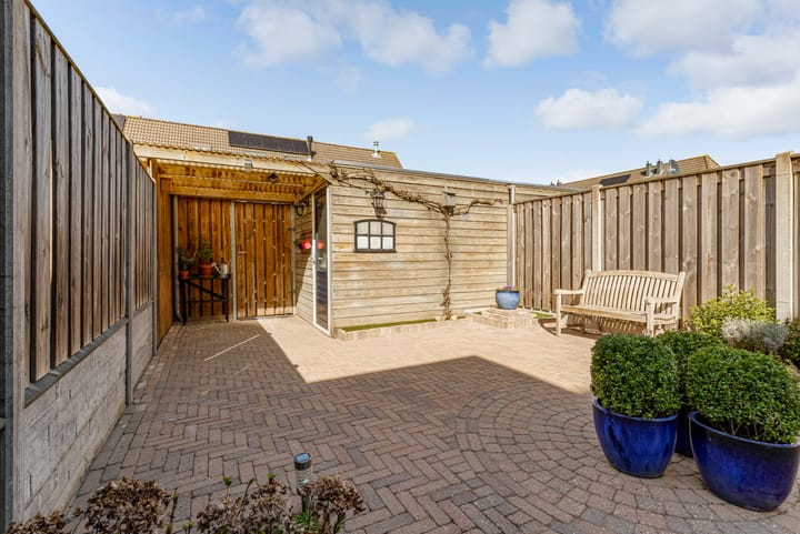 Photo 32 of Grote Beer 40