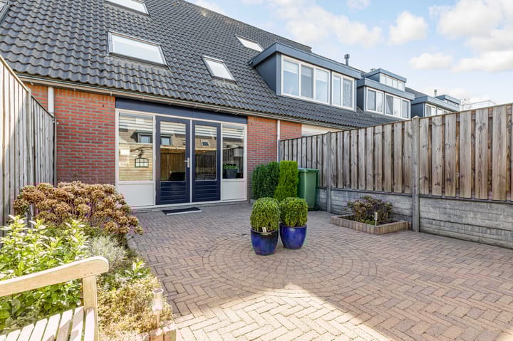 Photo 33 of Grote Beer 40