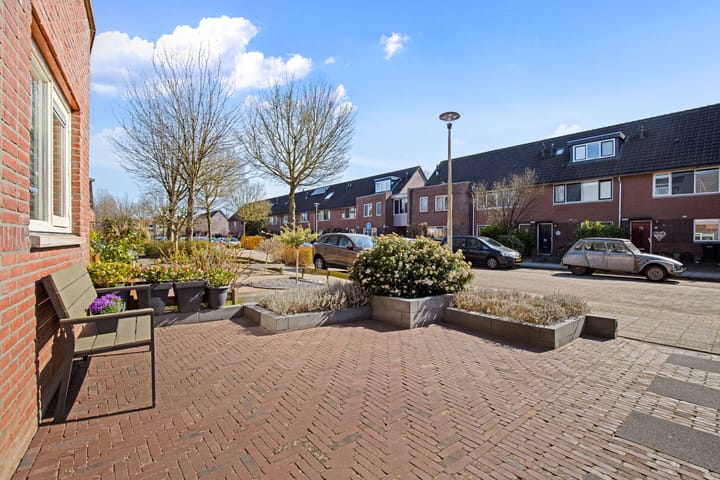 Photo 38 of Grote Beer 40